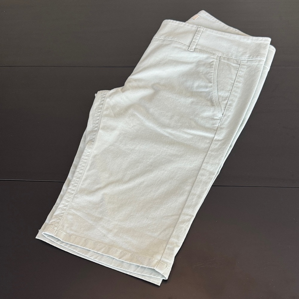 Ann Taylor Loft Marisa Soft Green Shorts